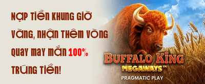 Unlimited Rebates